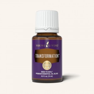 Transformation 蛻變 (轉化)